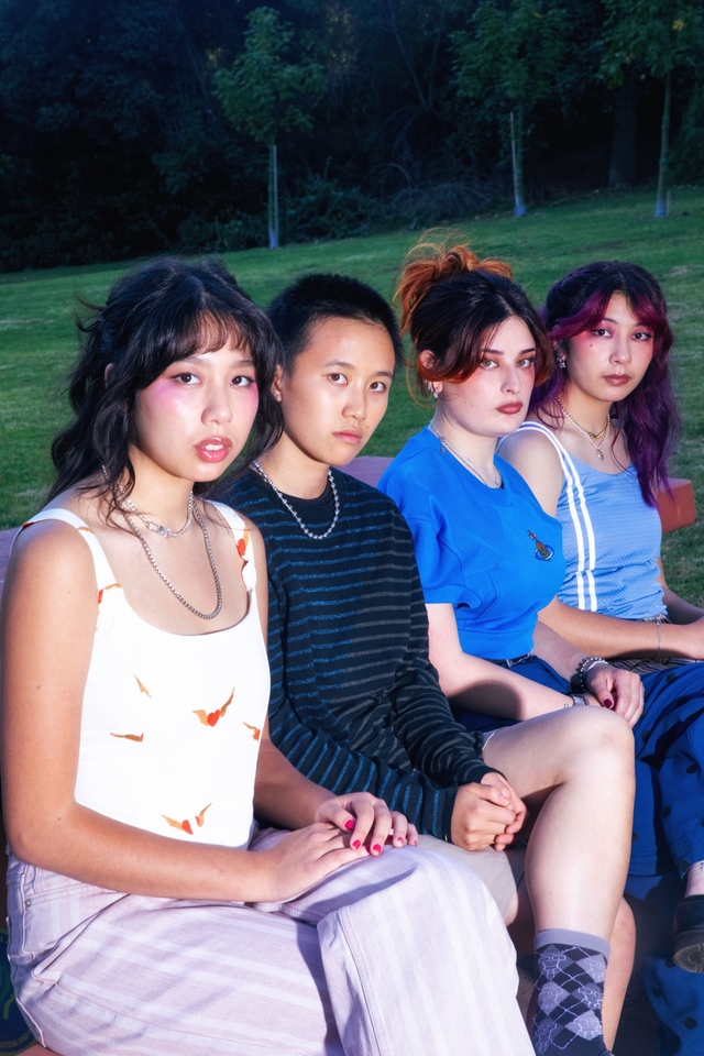 Image for THE LINDA LINDAS